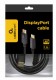 CC-DP2-6